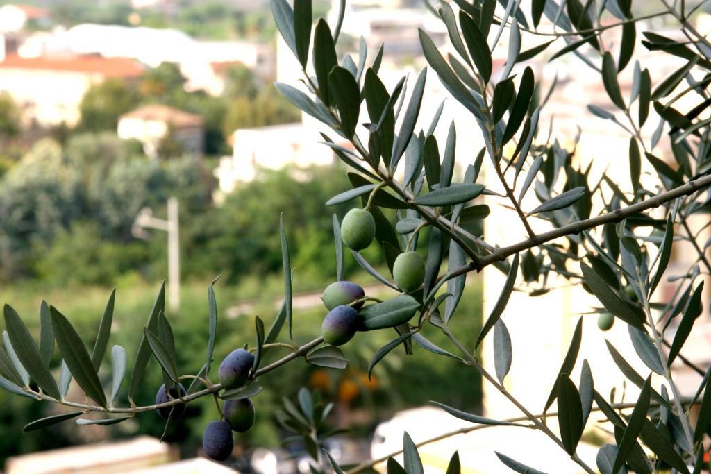 M Suites Sorrento Eksteriør billede